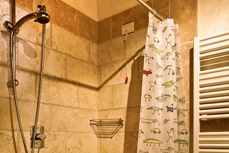 alba apartment shower