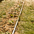 alba apartment garden