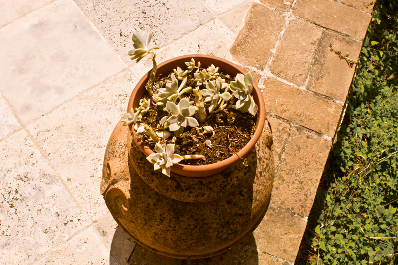 Casino del Poggio's Garden